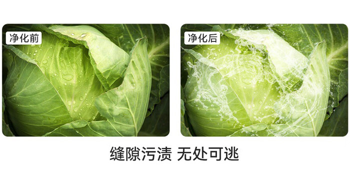 水觸媒洗菜機(jī) 水觸媒洗菜機(jī)